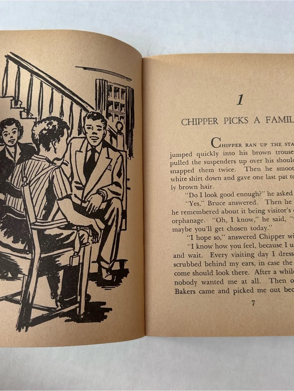 Chipper Picks A Family & Other Stories Wanda Schickling Vintage Paperback 1952